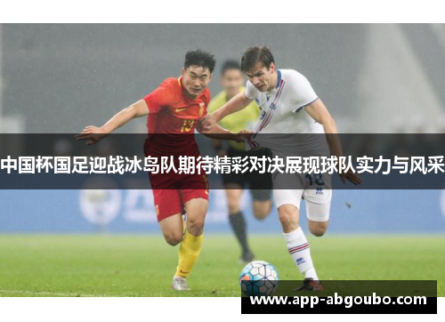 中国杯国足迎战冰岛队期待精彩对决展现球队实力与风采
